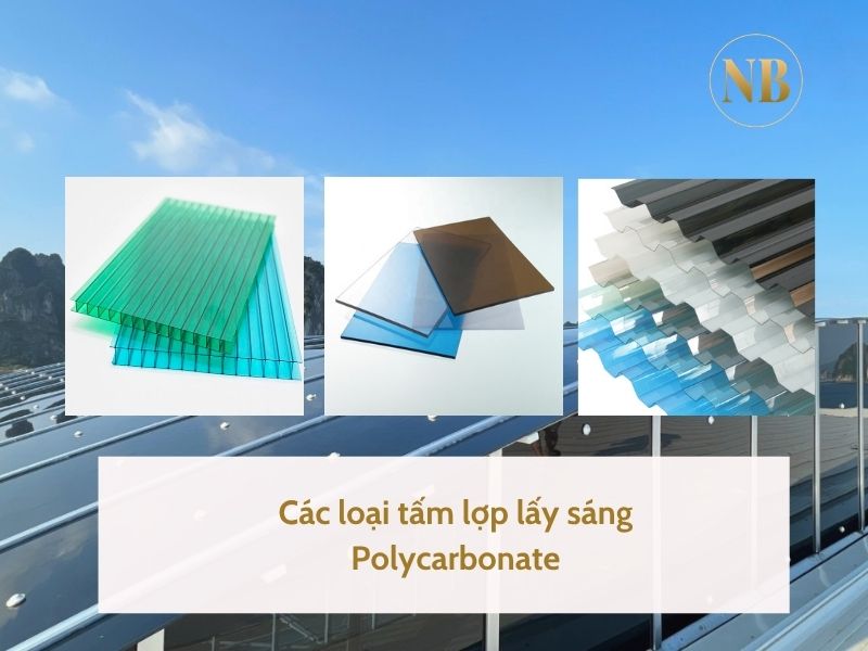 Mỗi loại tấm lợp sáng sở hữu cấu tạo và đặc điểm riêng