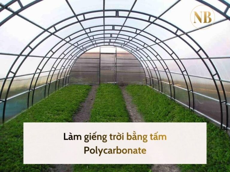 Vì sao nên sử dụng tấm Polycarbonate cho nhà kính nông nghiệp?