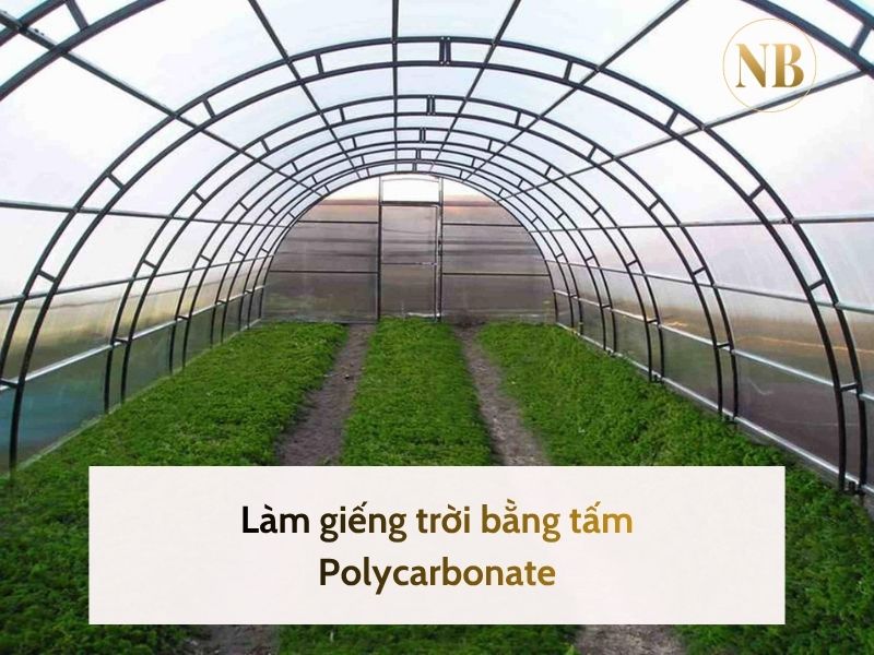 Vì sao nên sử dụng tấm Polycarbonate cho nhà kính nông nghiệp?