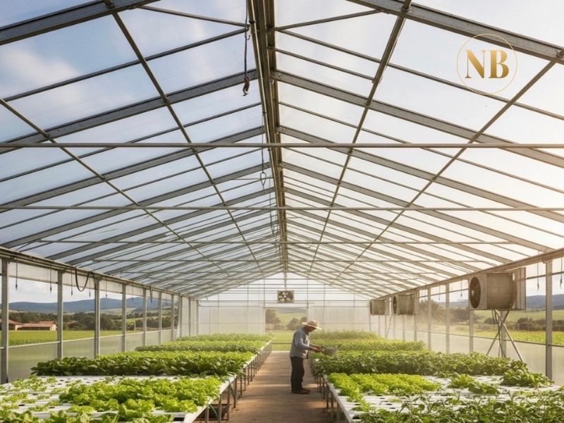 Tấm Polycarbonate dùng cho nhà kính nông nghiệp là giải pháp tối ưu cho sản xuất hiện đại